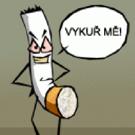 Odeslaný obrázek